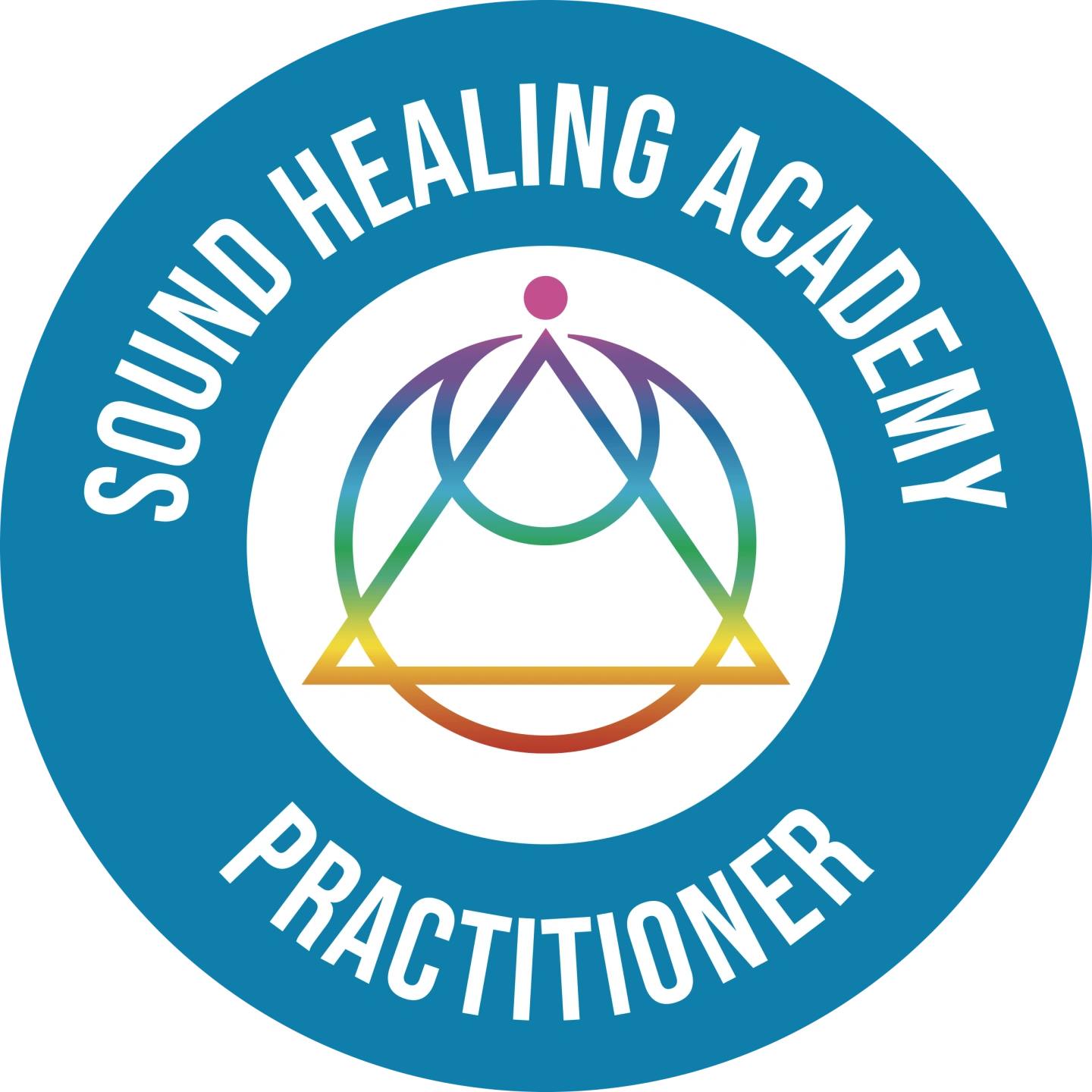 Final PRACTITIONER Seal (1).png