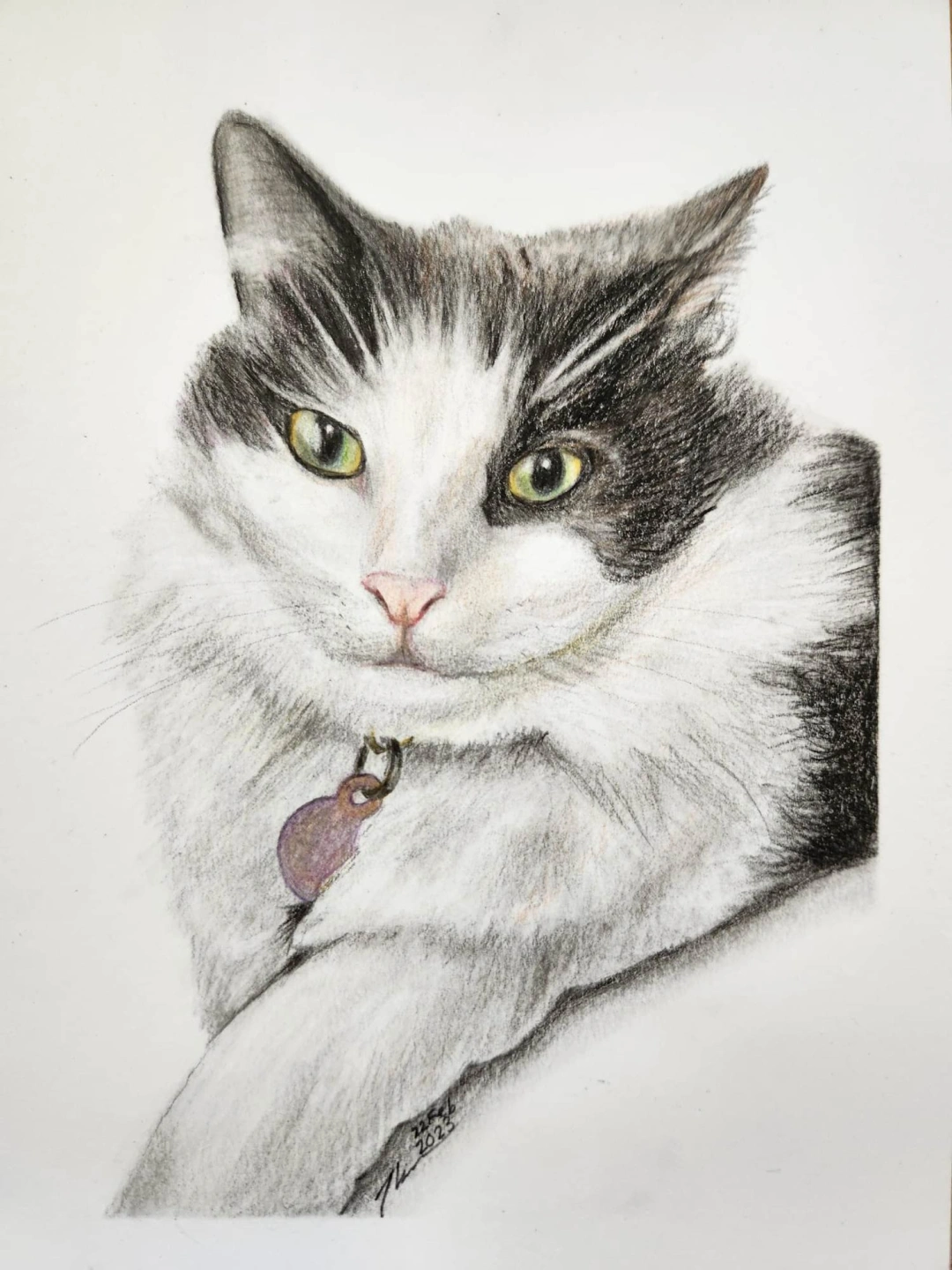 Coloured Drawing (3).jpg
