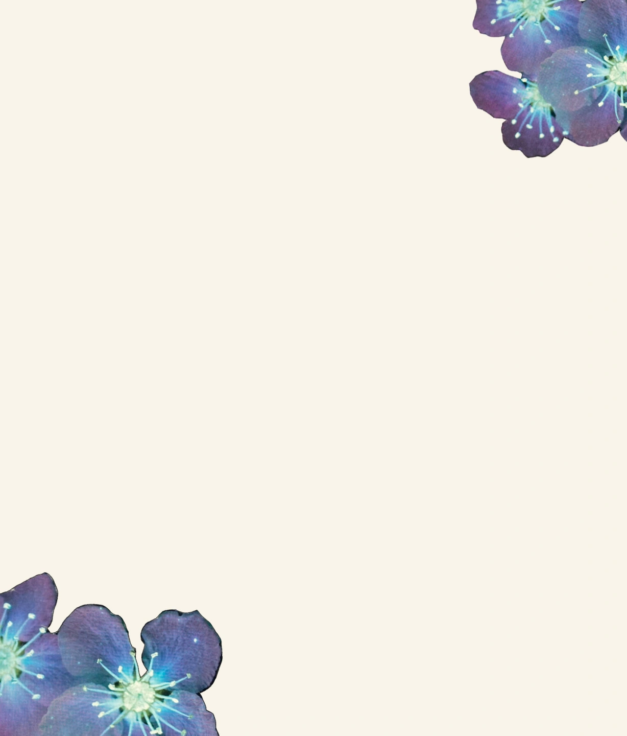 banner2.jpg