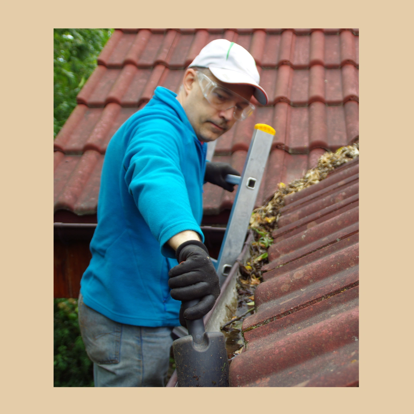 Untitled design (6).png