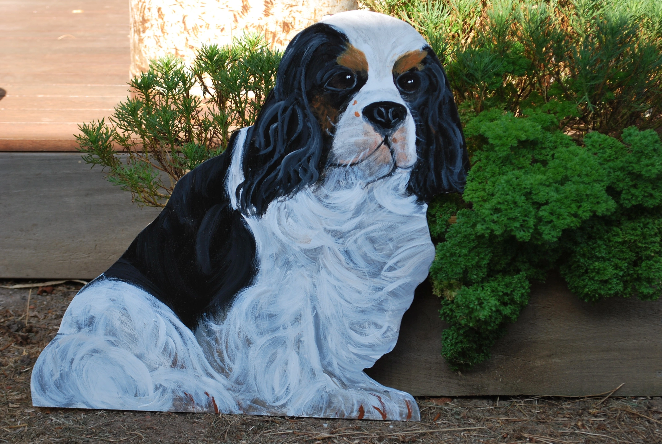 King Charles Spaniel (Black and White).JPG