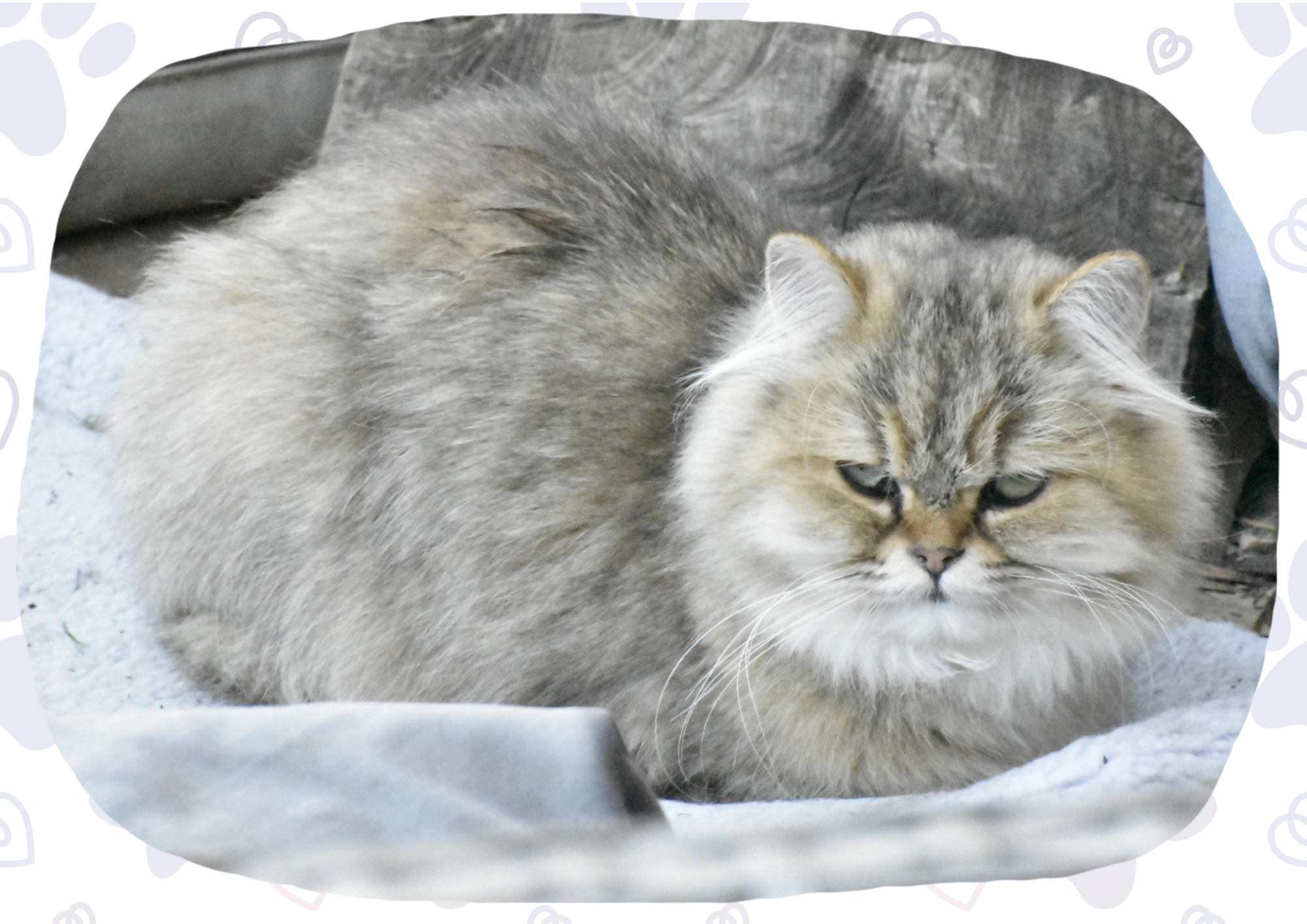 Untitled (29.7 x 21 cm) (19).png