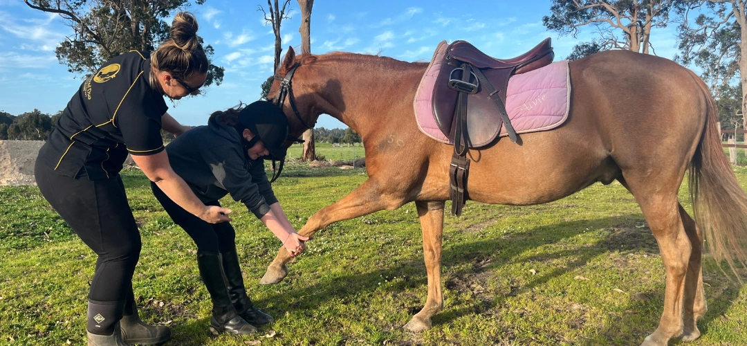 The Balanced Duo - Pony Stretch and Release - Education for young riders.png