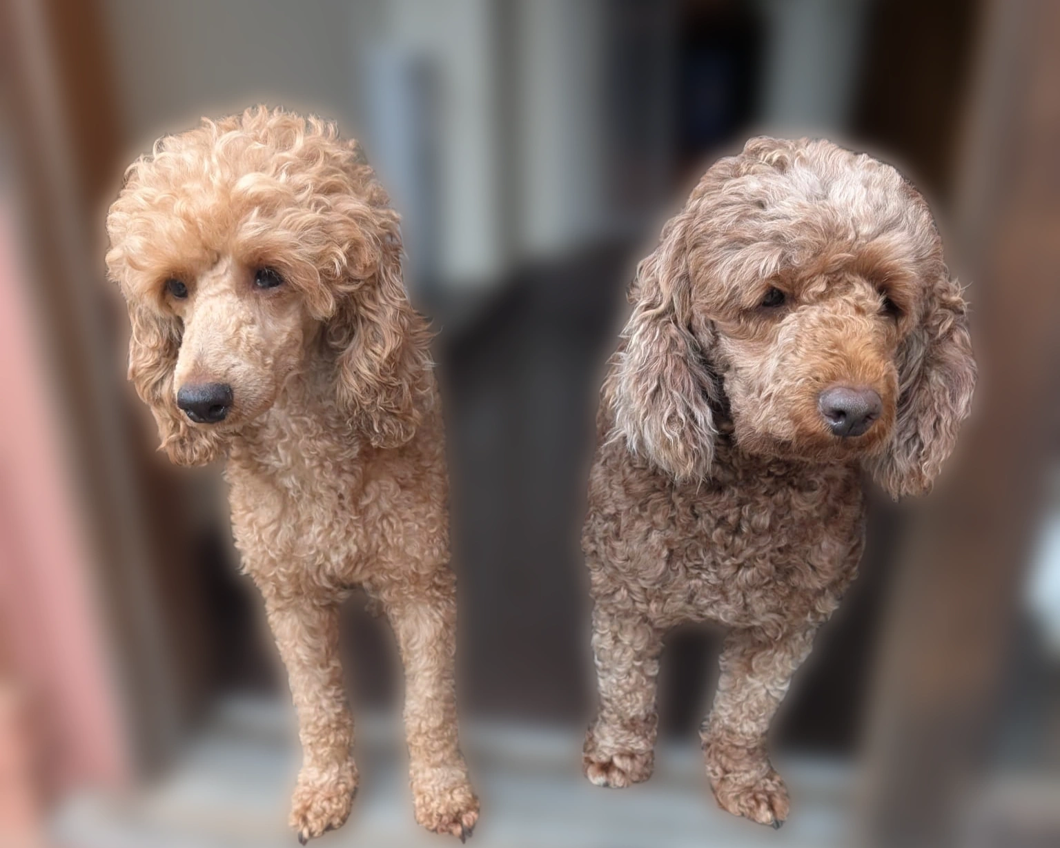 March 26 -Cropped.png