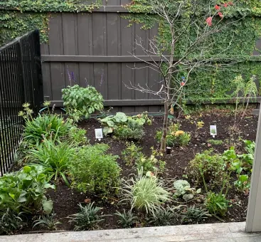 20260605_1_367x340.webp