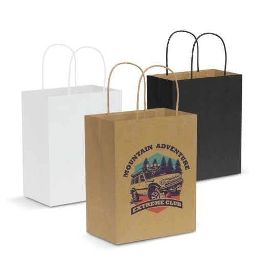 custom-printed-promotional-bag-medium-paper-carry-bags-1.jpg