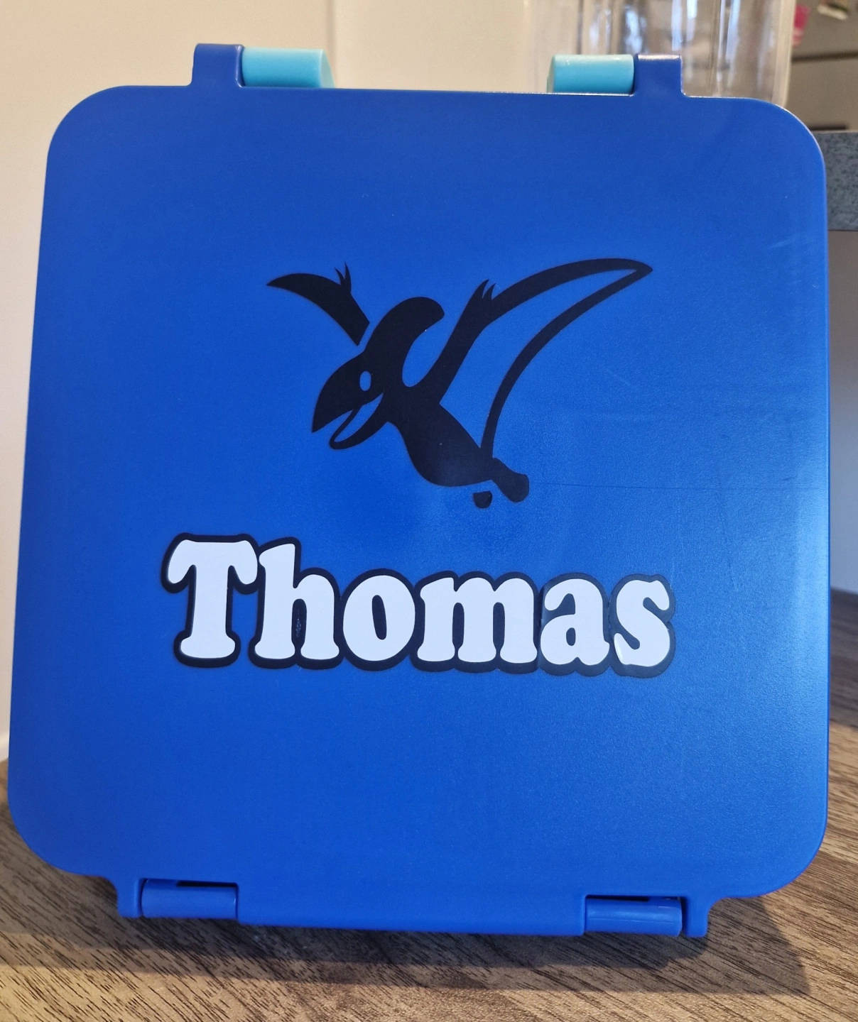 lunchbox, dinosaur.jpg