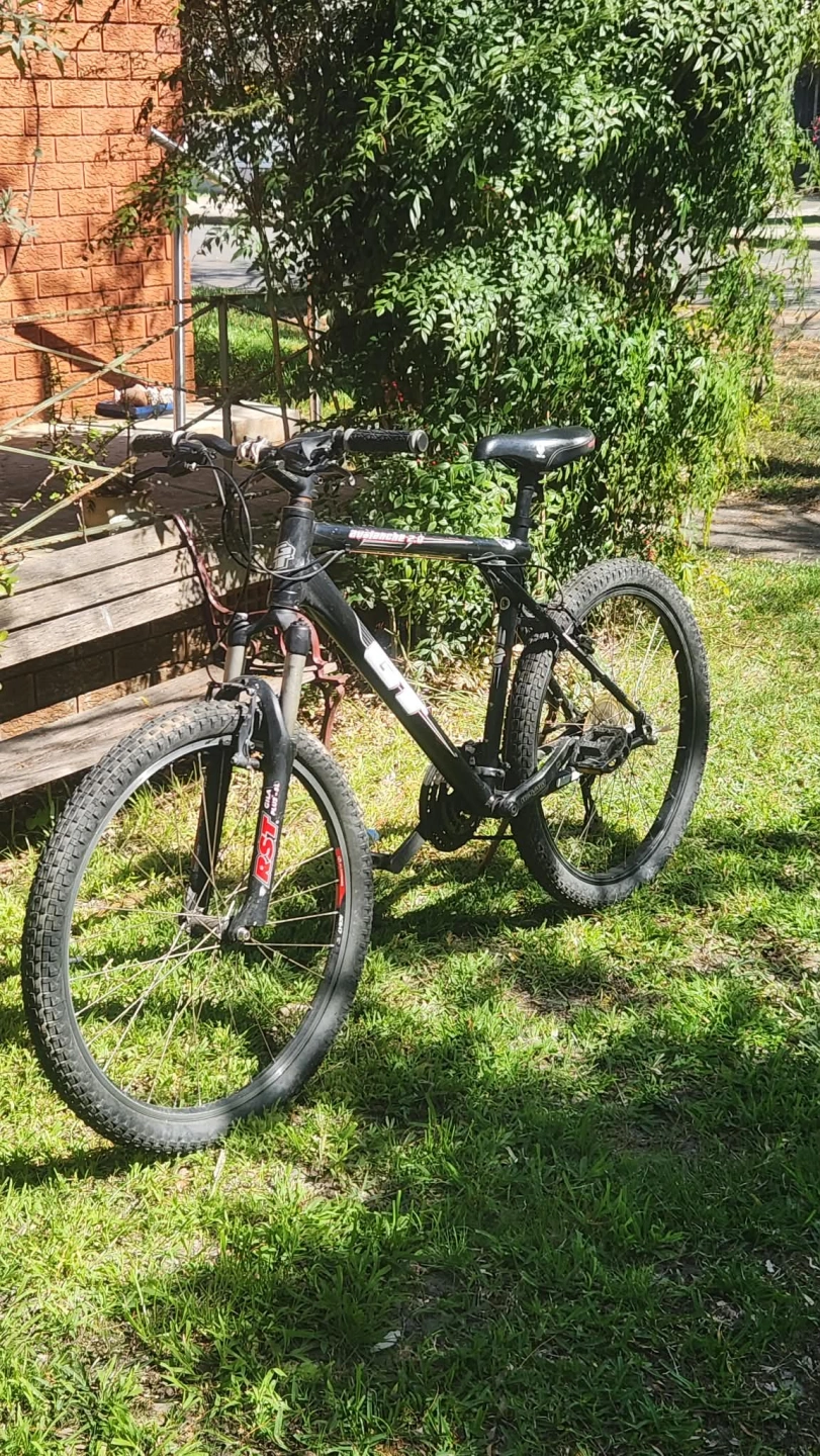 Bike Revival4.jpeg
