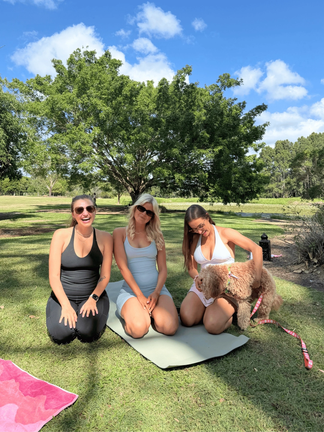 Untitled design (6).png