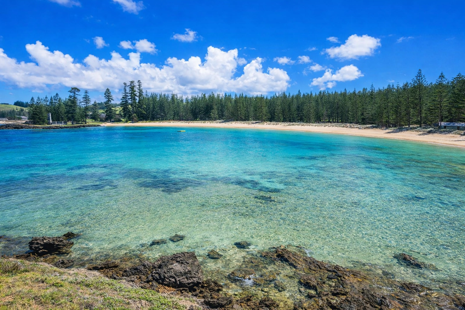 ChatGPT Image Feb 28, 2026, 05_31_59 PM.png