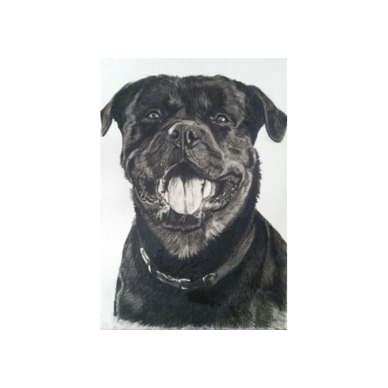 big dog sh web.jpg
