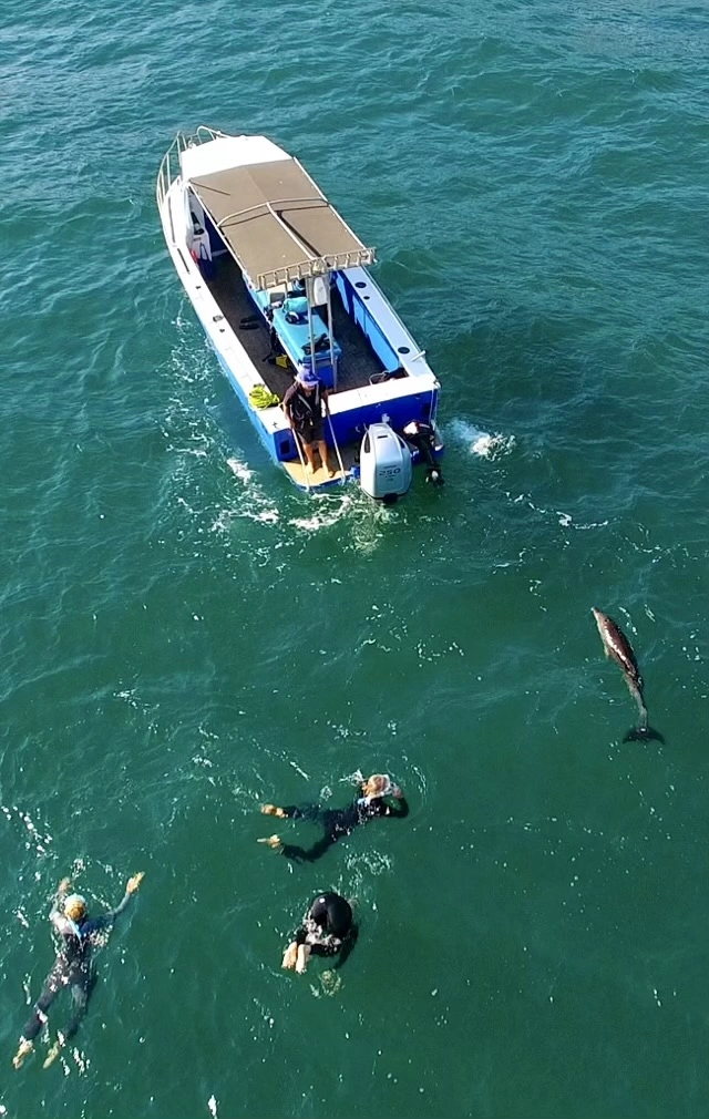 A098C762_2310145H_CH200.00_48_30_30.Still033 3.jpeg