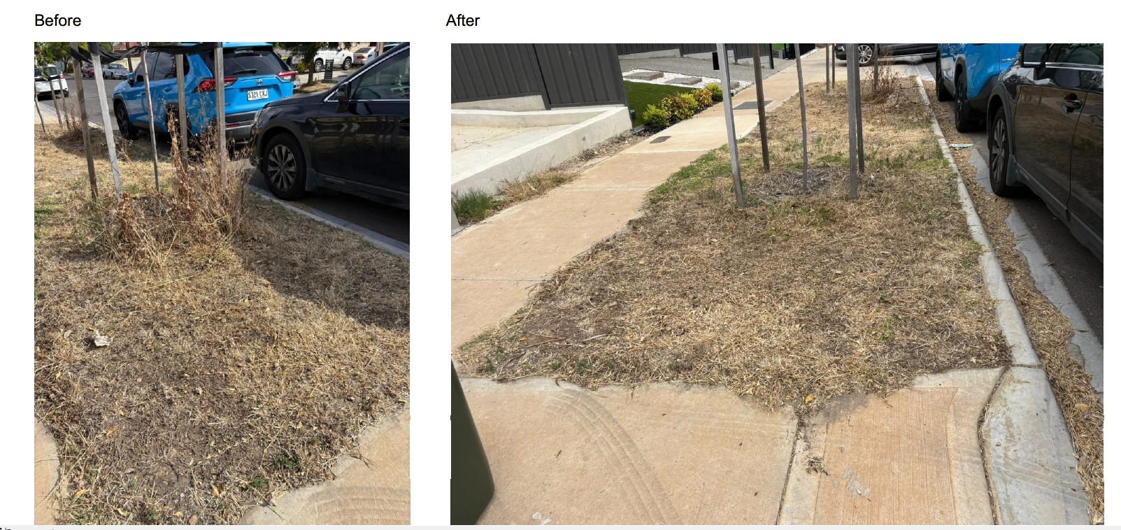 Screenshot 2025-12-31 000154.png