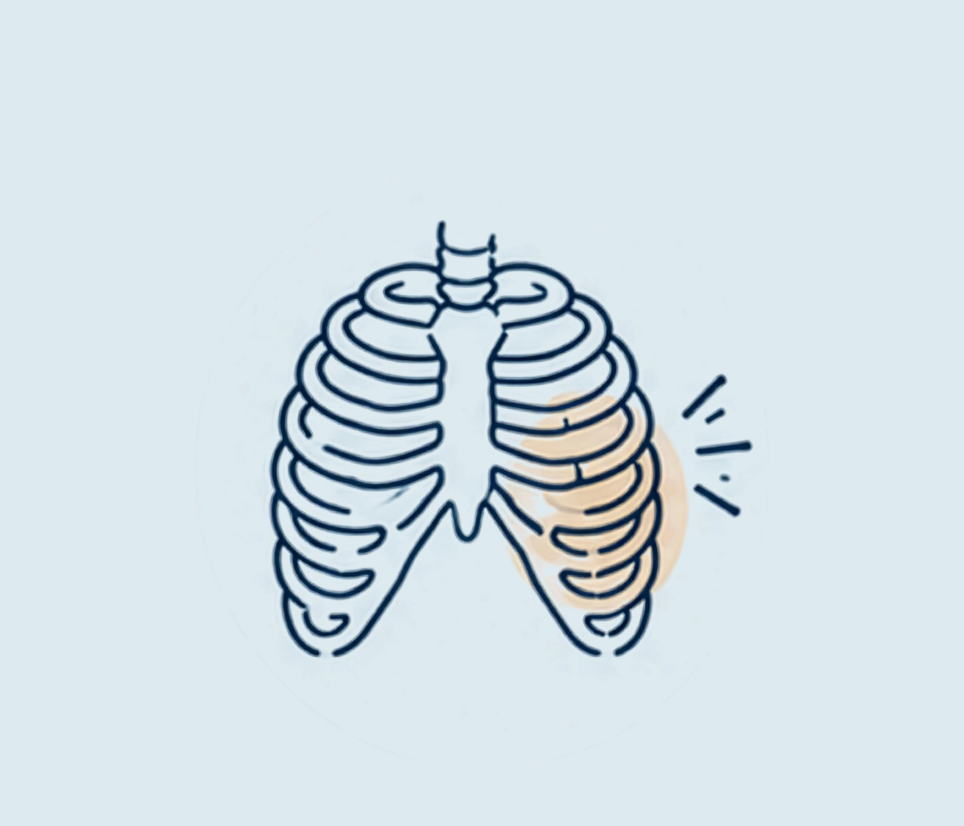 Chest and Rib.png