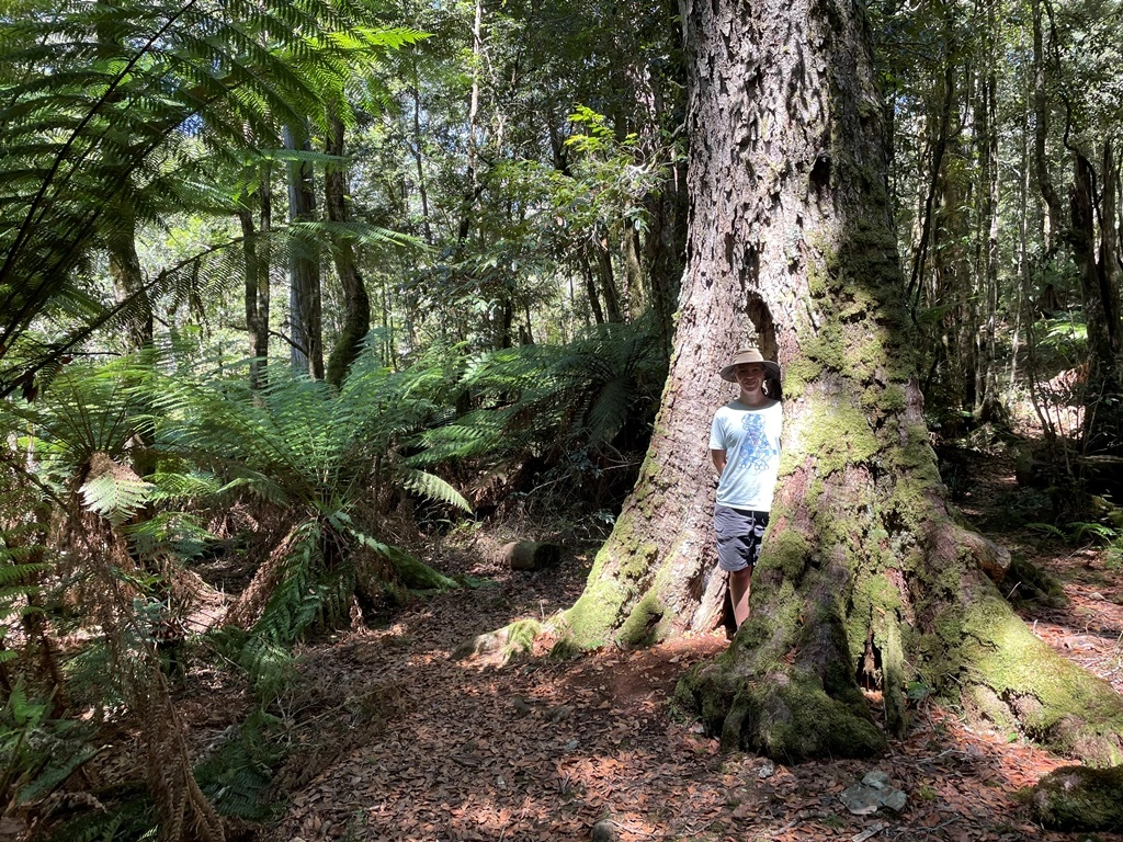 sue in tree_small.JPG