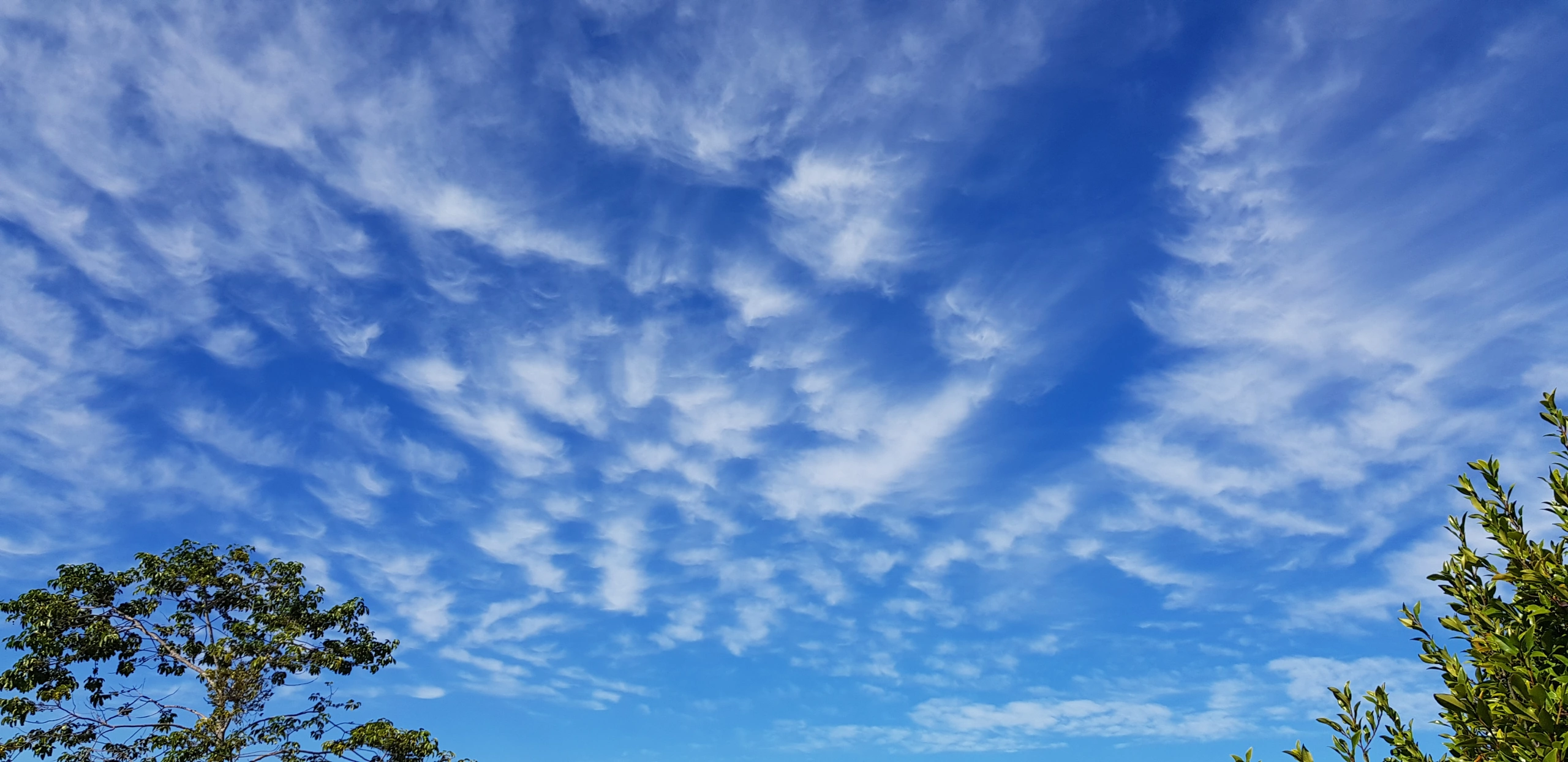 20230709_115113.jpg