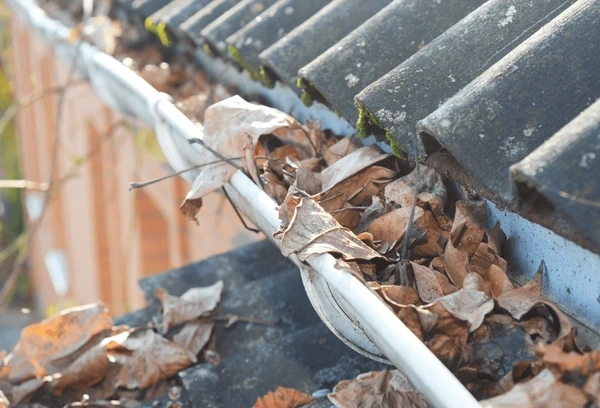 Roof gutters.webp