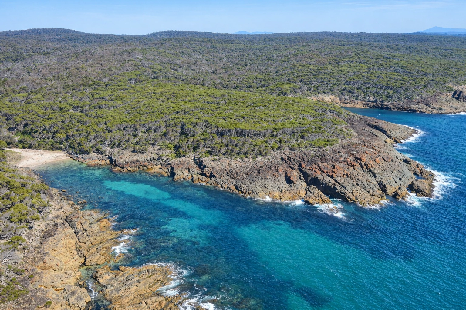 ChatGPT Image Feb 28, 2026, 05_43_55 PM.png