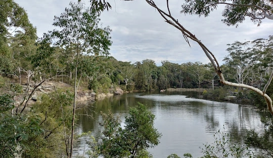 Parramatta Lake Reserve.jpg