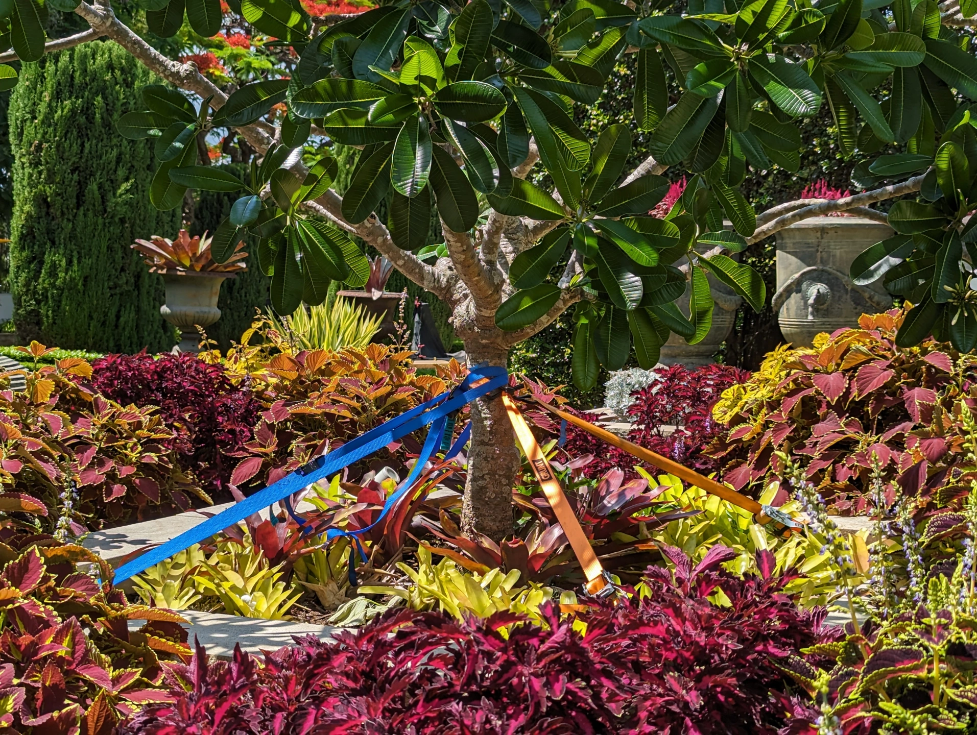 From urgent repairs to ongoing garden care we are dedicated to helping your spaces thrive!