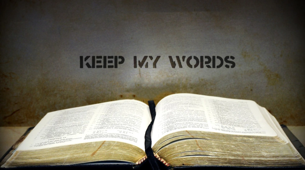 Bible pic website.PNG