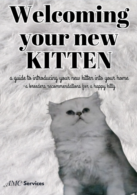 Screenshot 2025-04-16 011423.png