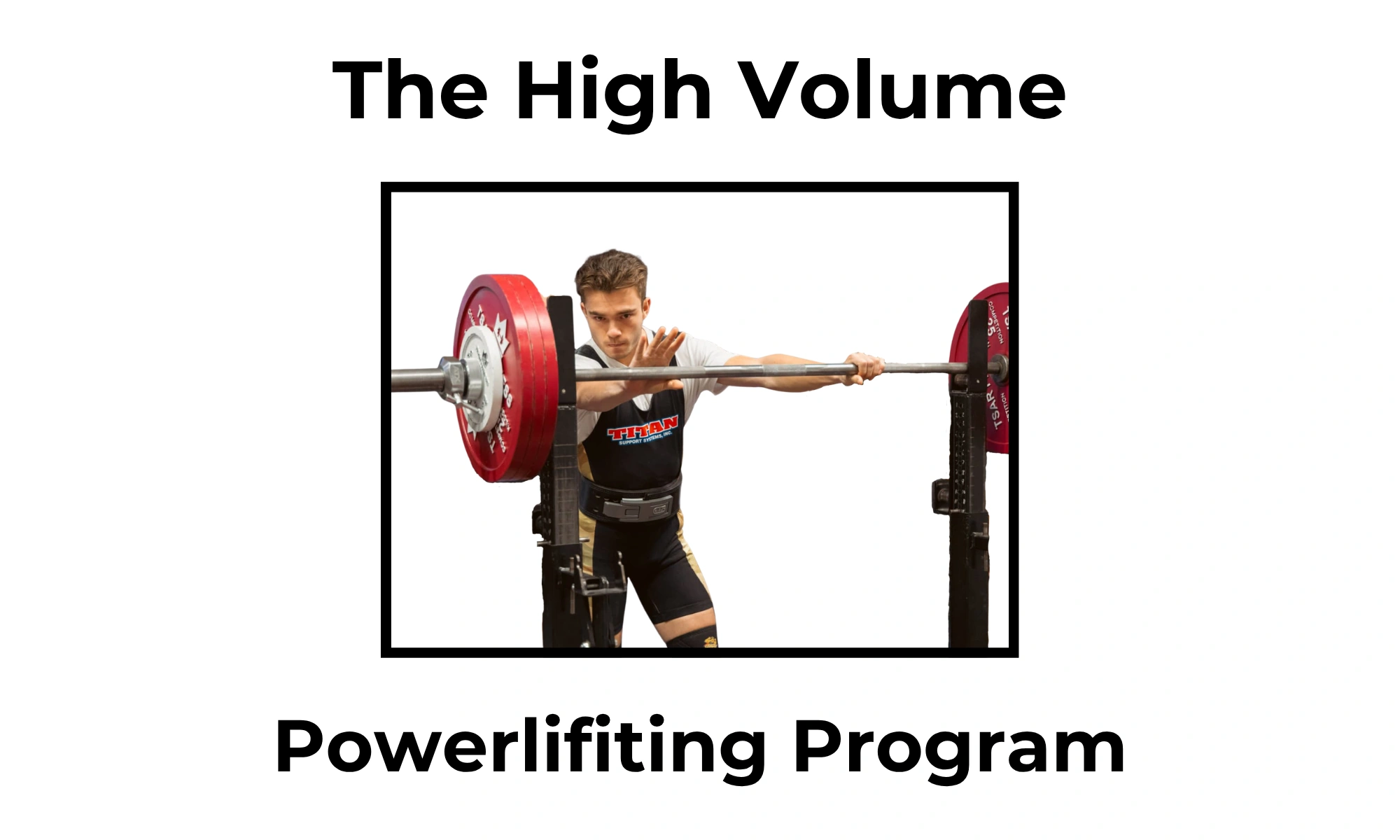 Copy of Copy of Copy of Introduction to the GYM.png