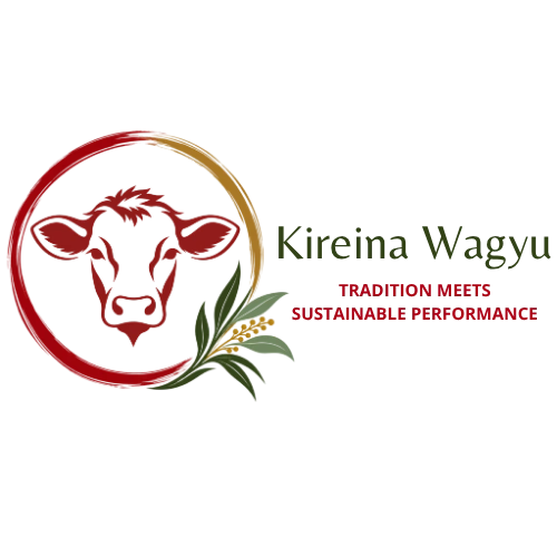 Kireina Logo_Horizontal.png.png