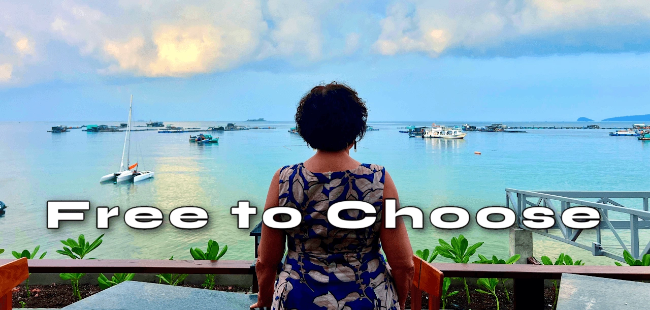 free-to-choose (1).png