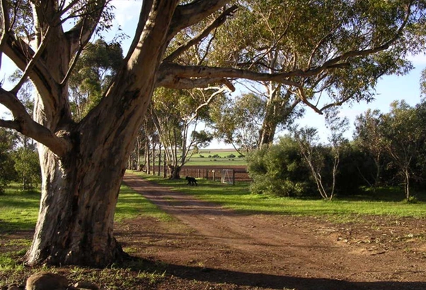 Driveway2.png