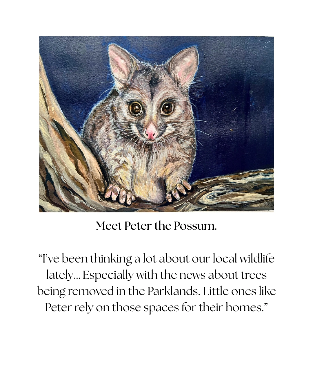 Peter the Possum.png