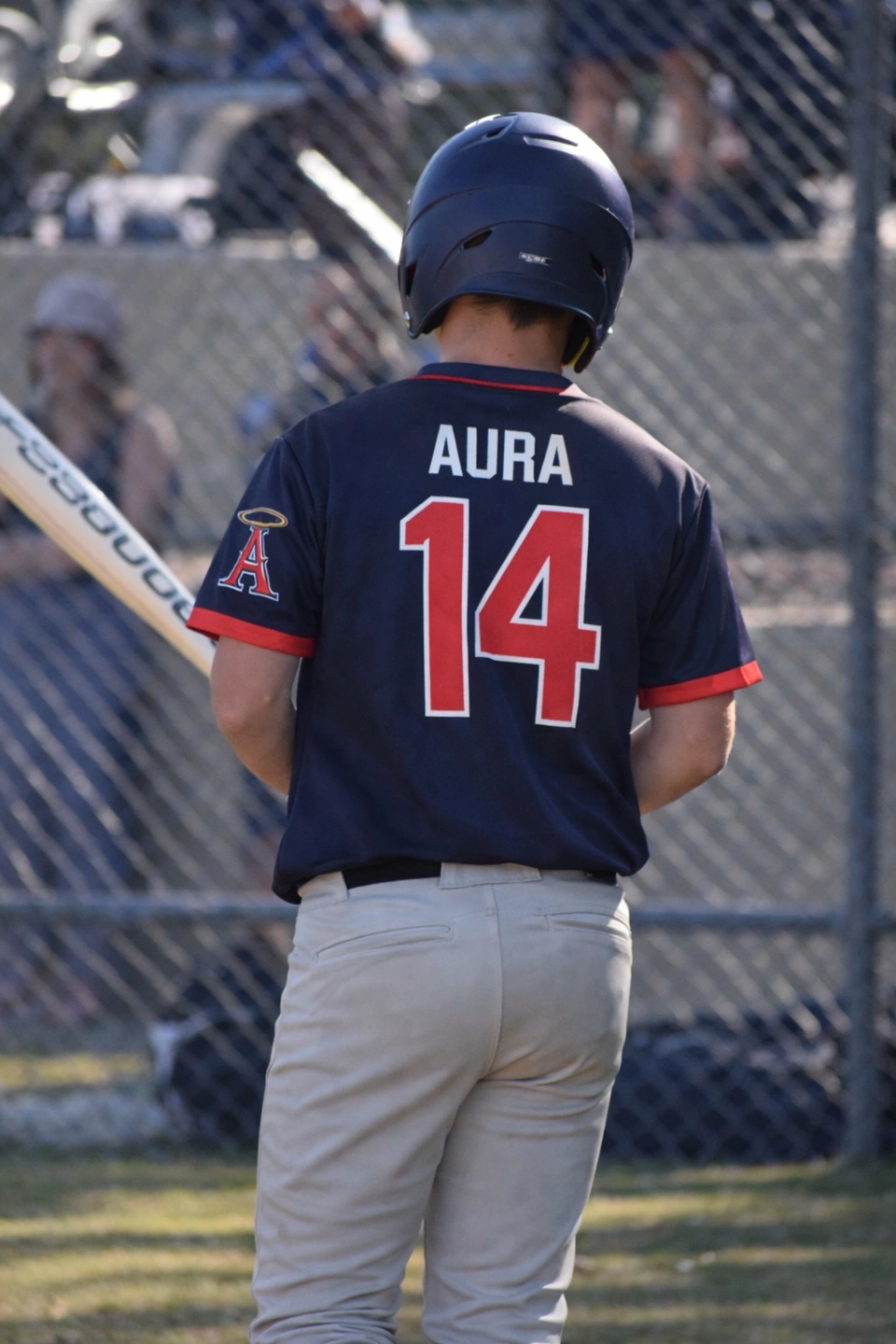Baseball player at the fence.png
