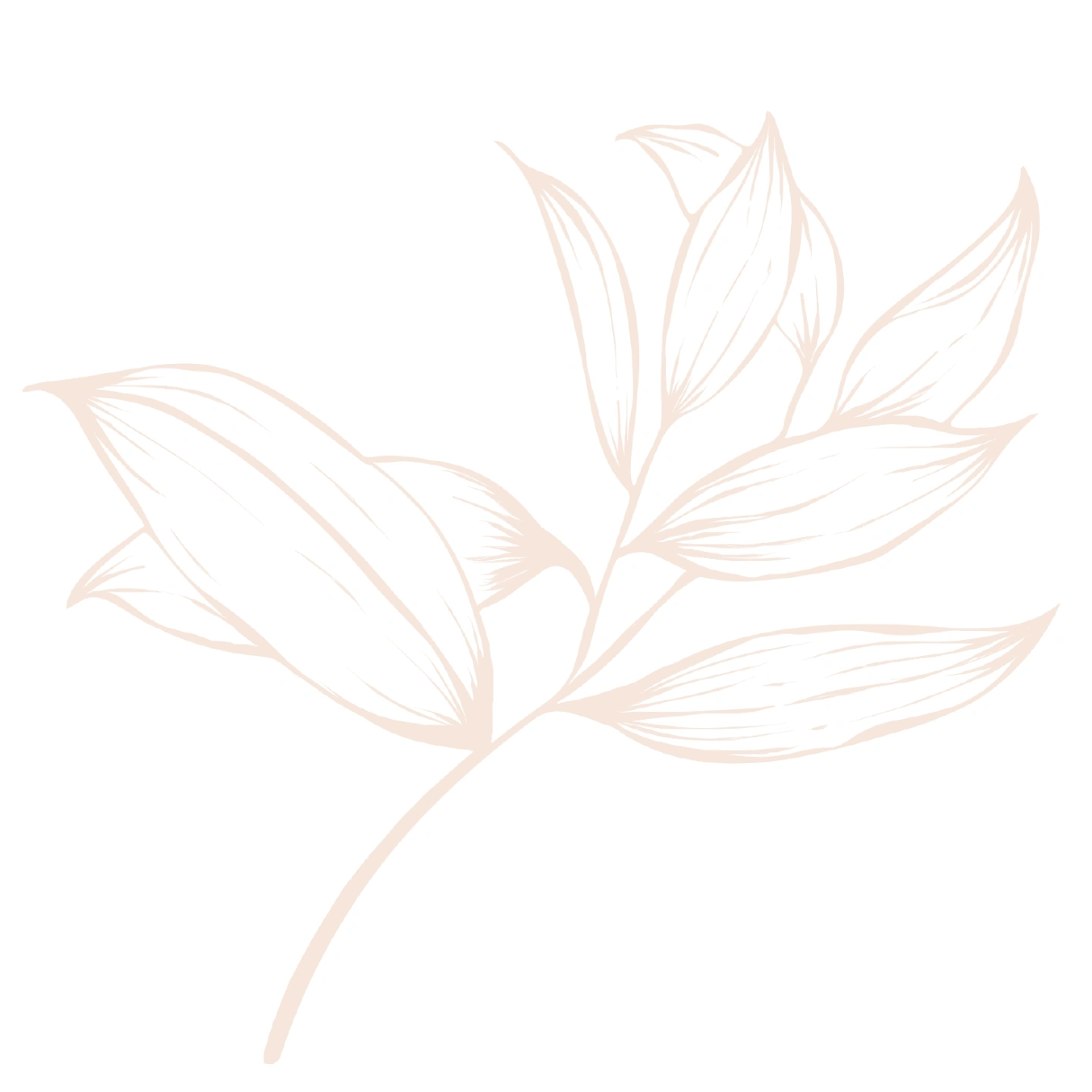 LEAF ICON #F2E3D6 Type.jpg