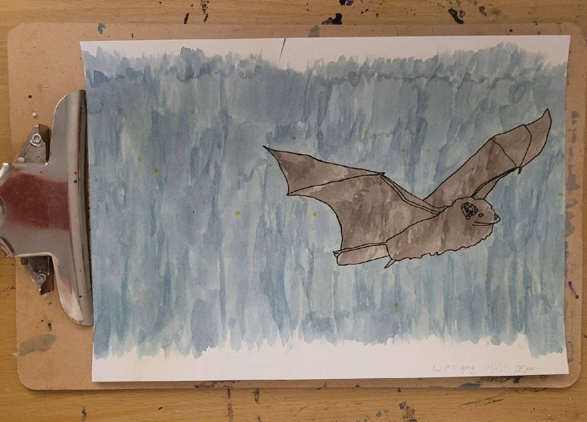 425FlyingPerthBats.jpg