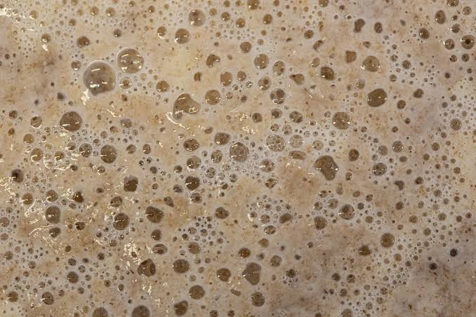 YEAST.jpg