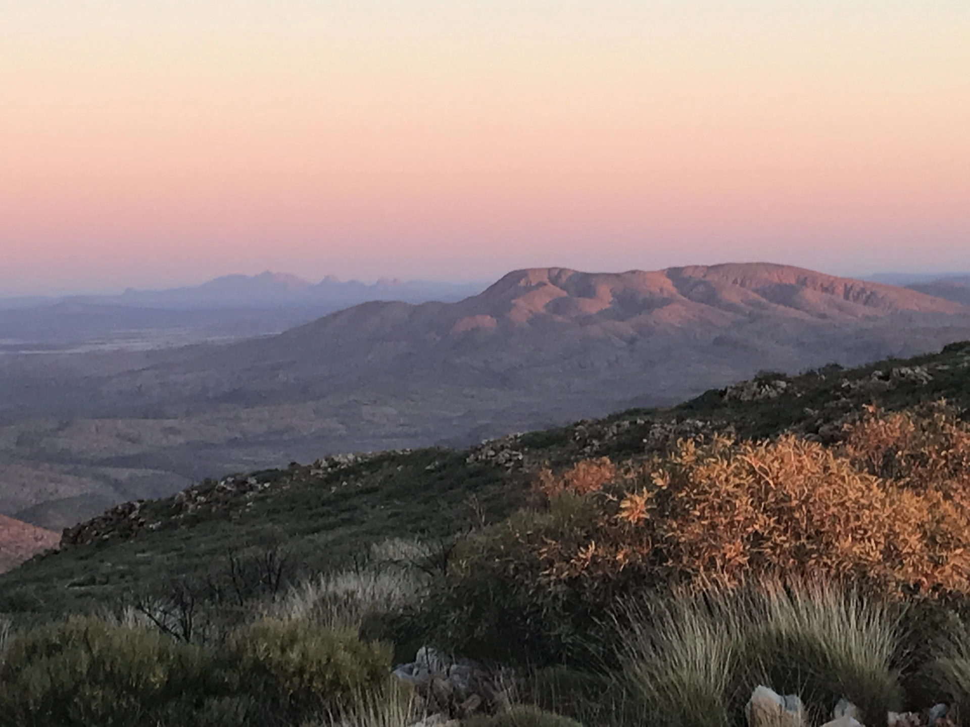 View book Cover page Mt Zeil from Mt Sonder lookout.jpg