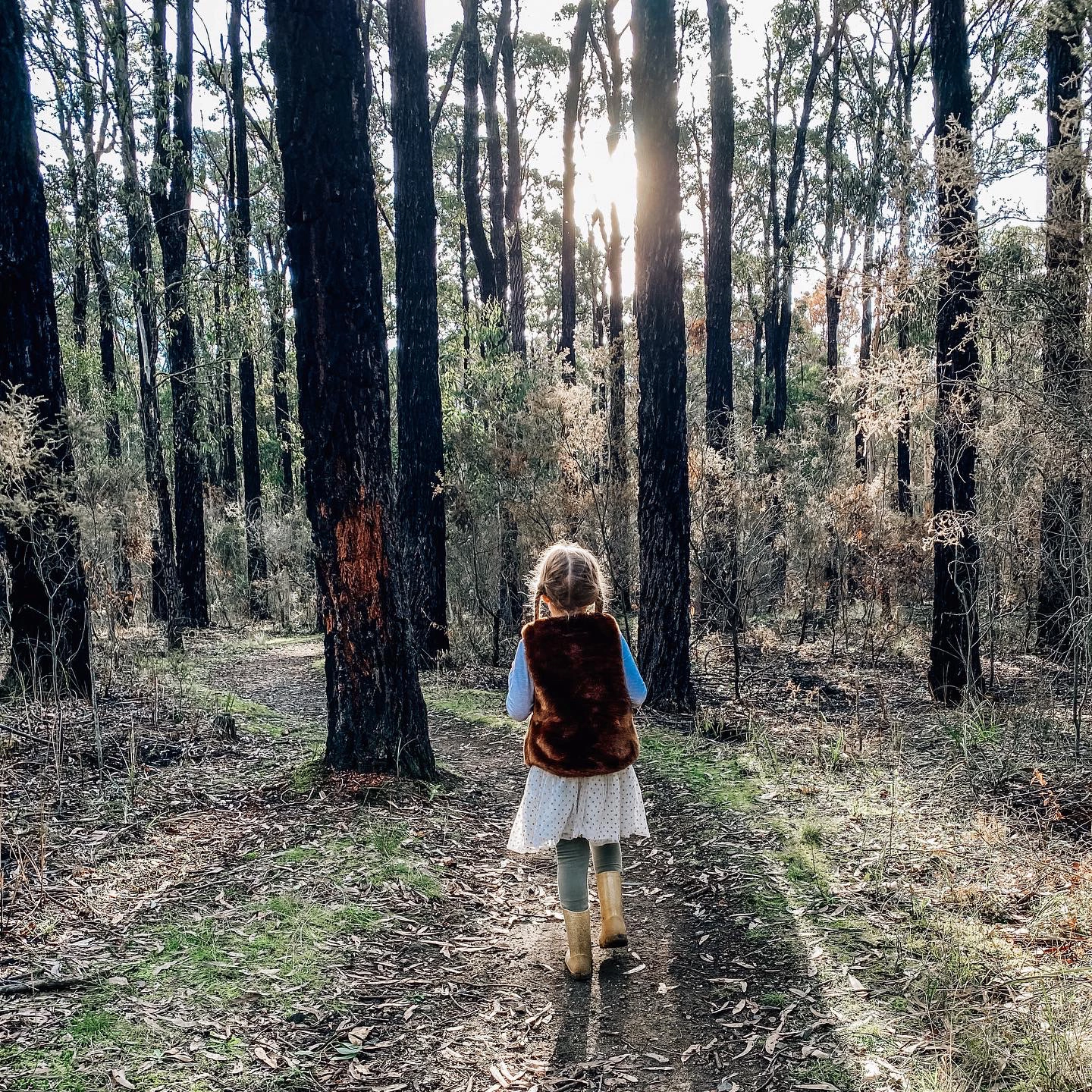 girl walking through trees.jpg