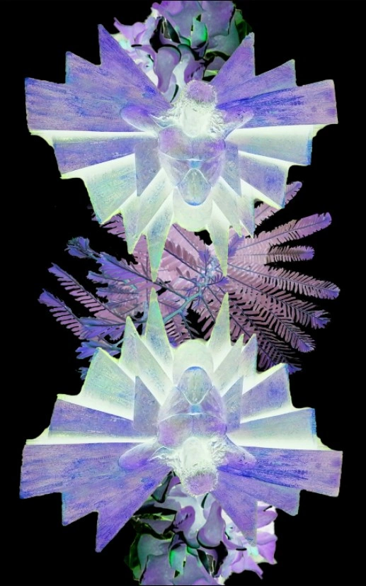 composition (14).jpg