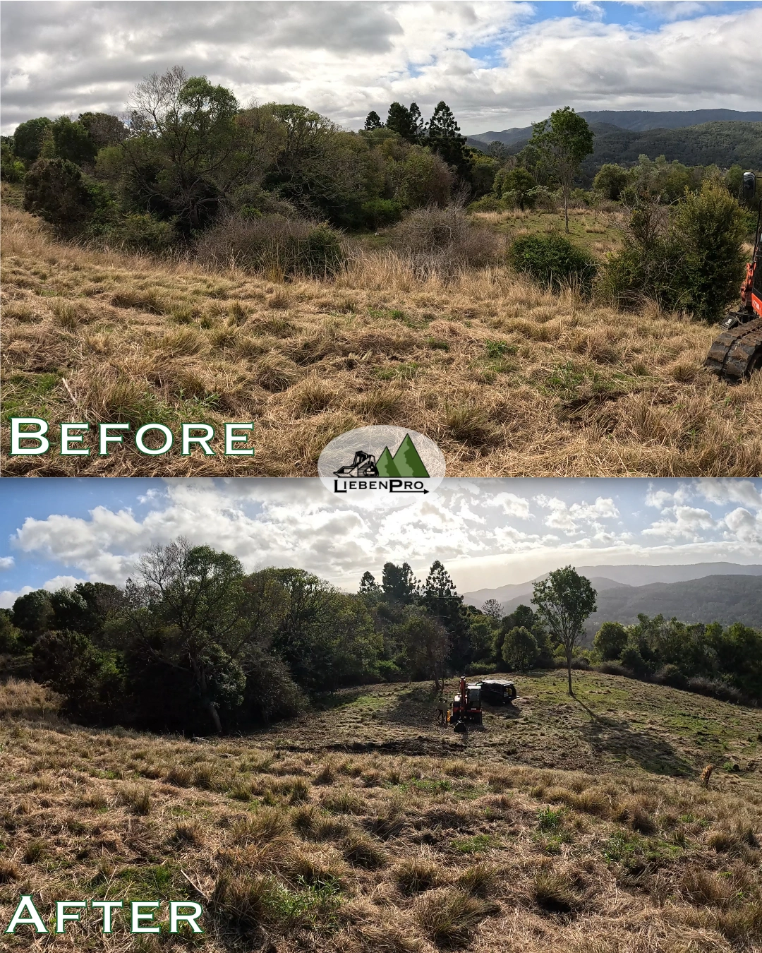 Before-After 2 - LiebenPro.JPG