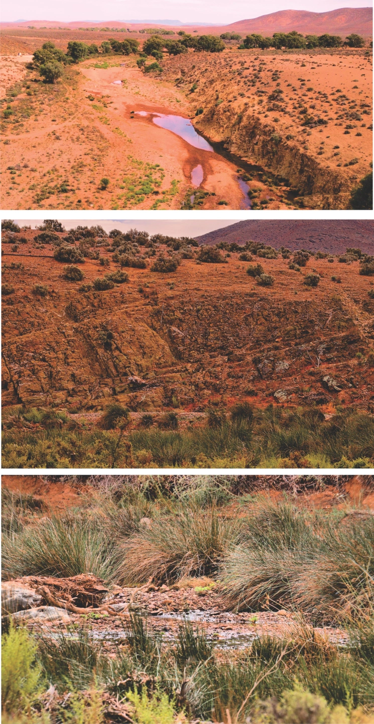 Almerta springs mmm.jpg