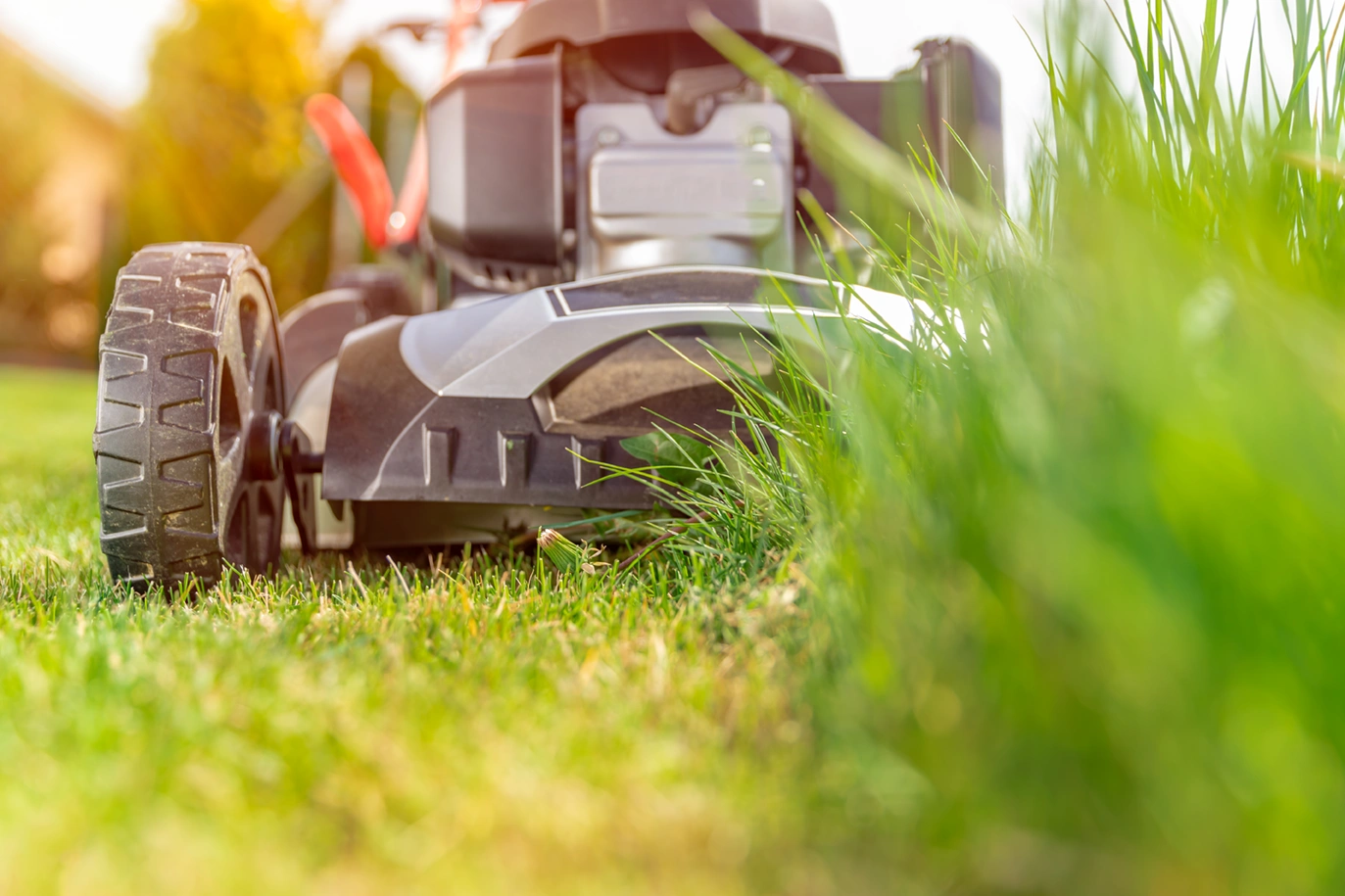 Mowing.png
