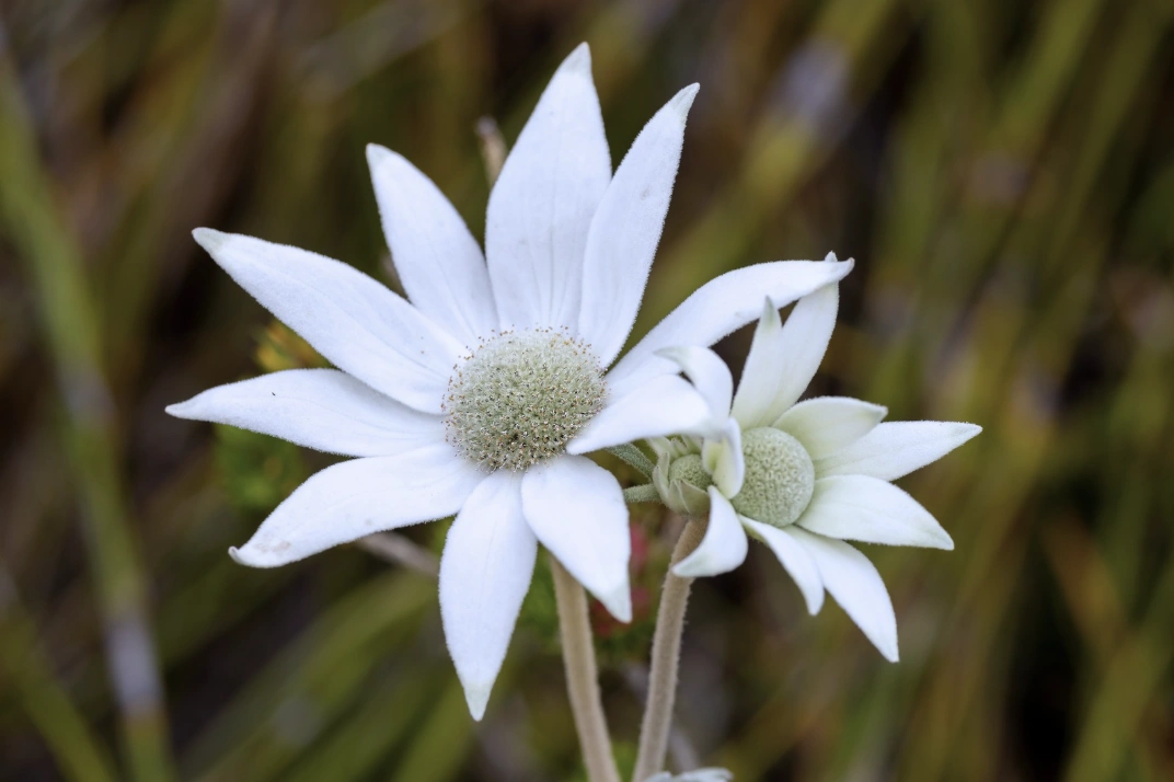 Screenshot 2025-10-12 212518.png