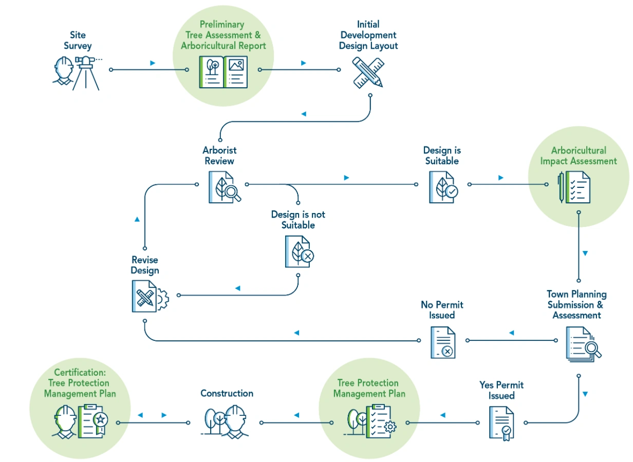 Flow CHart.png