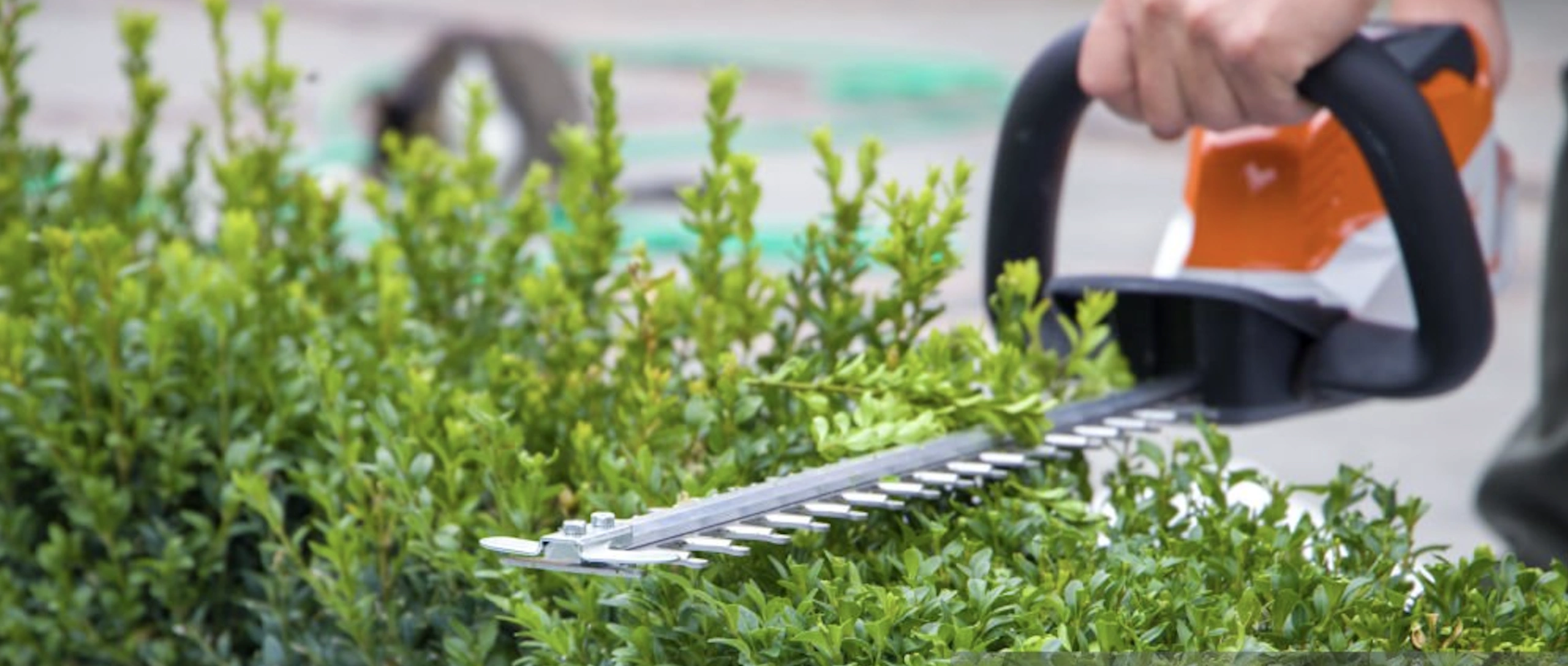 Hedge trim.png