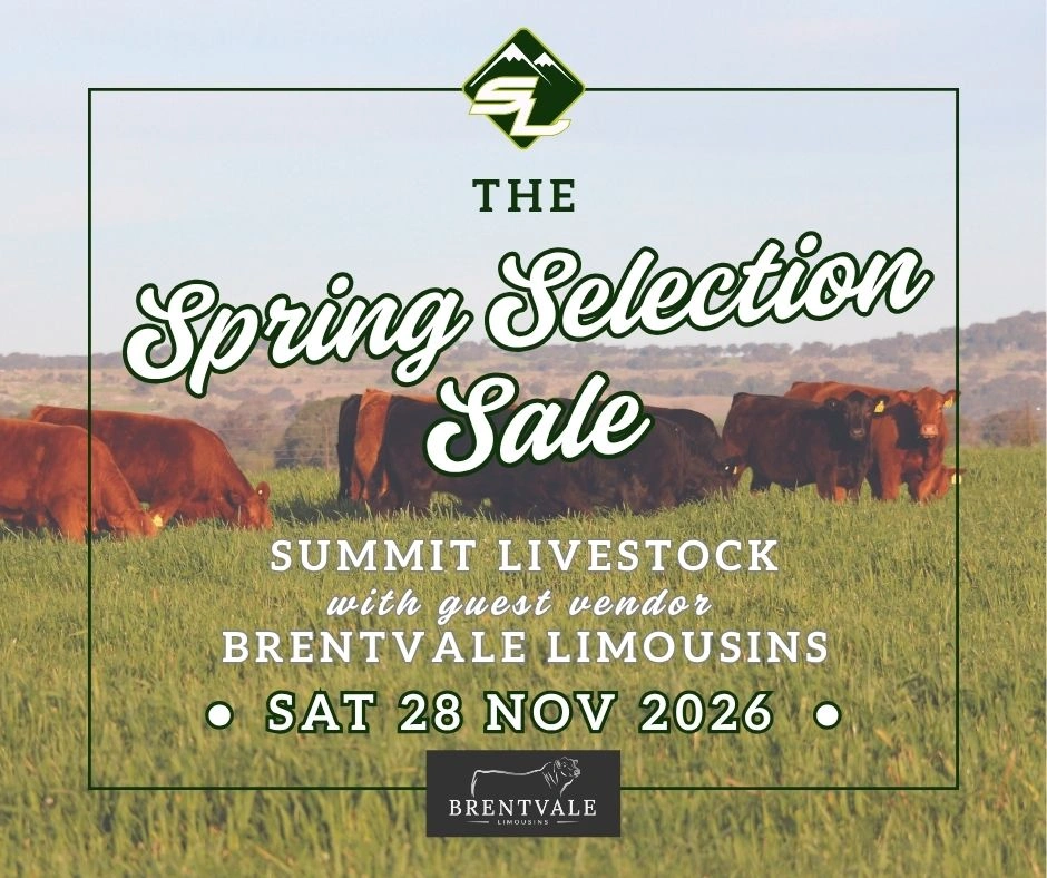 Spring Selection 2026 save date logos.jpg