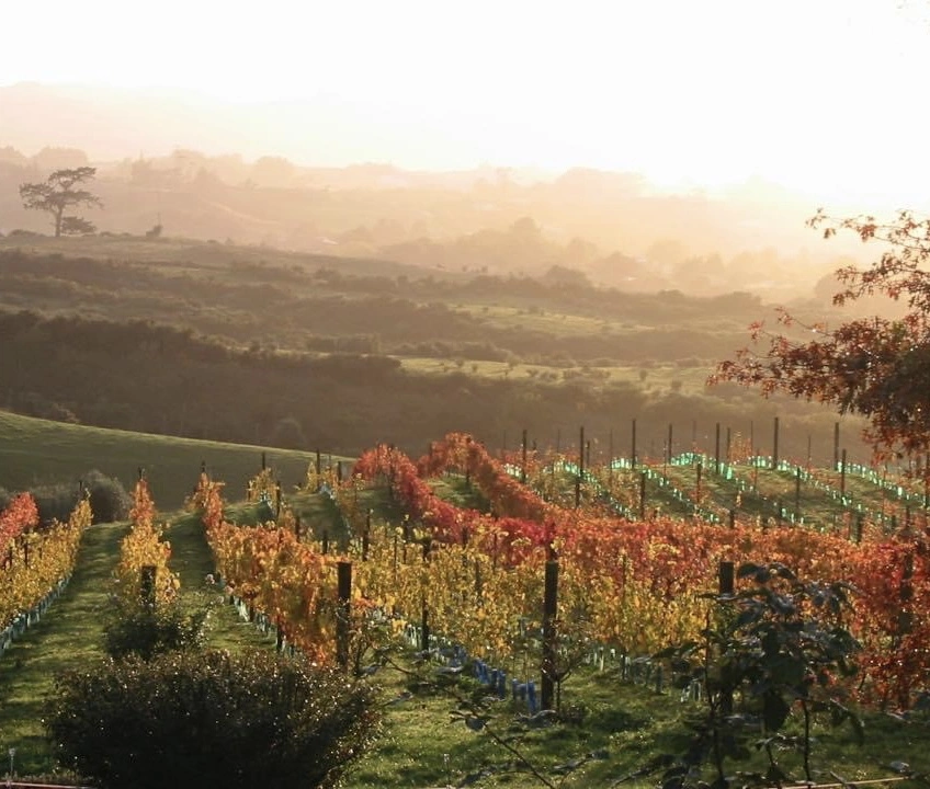Hitchen Road in Autumn.JPG