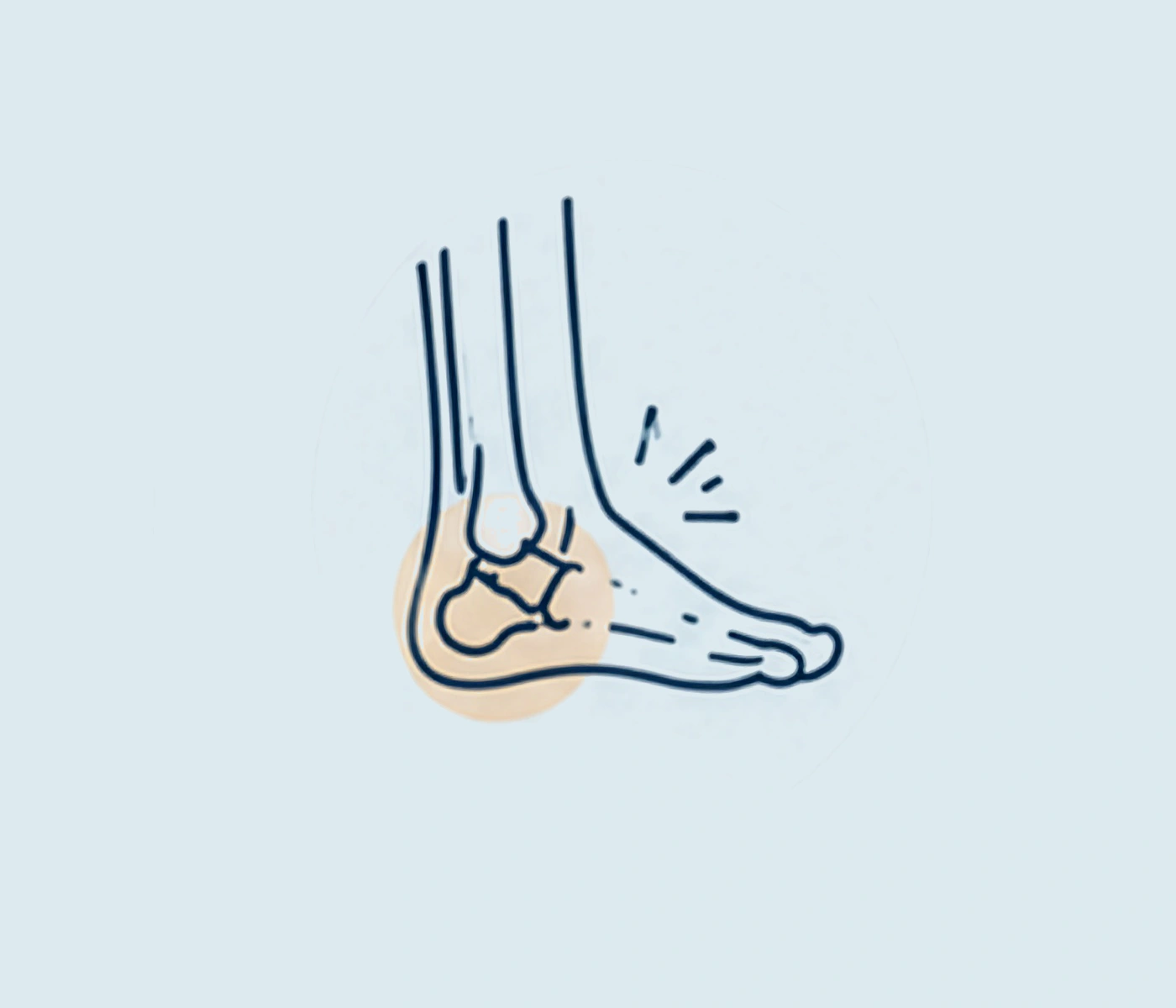 Foot and Ankle v2.png