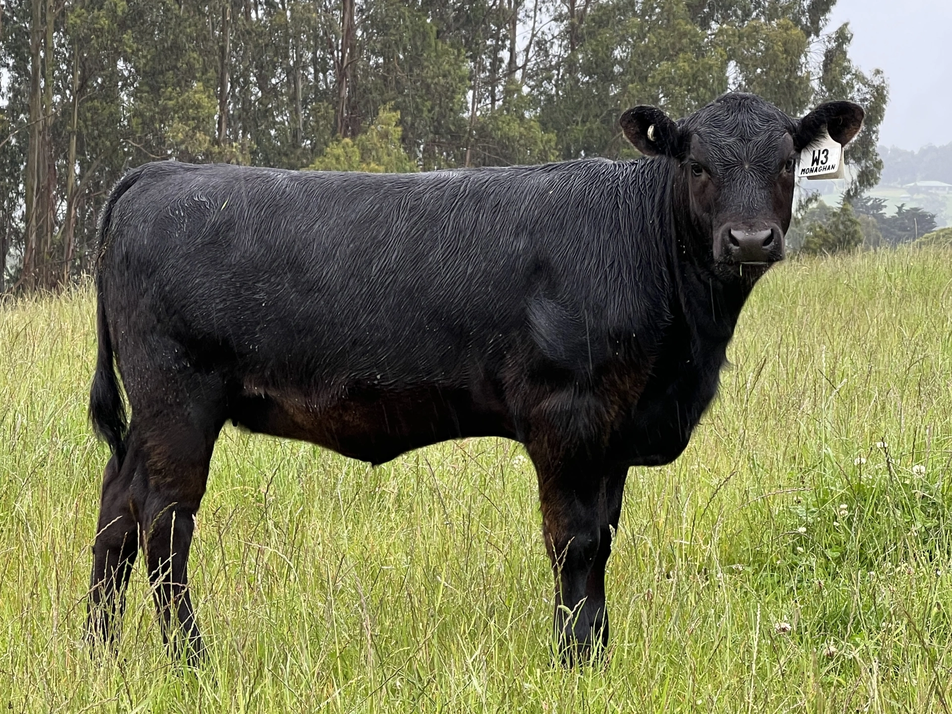 W3 December 2025.jpeg