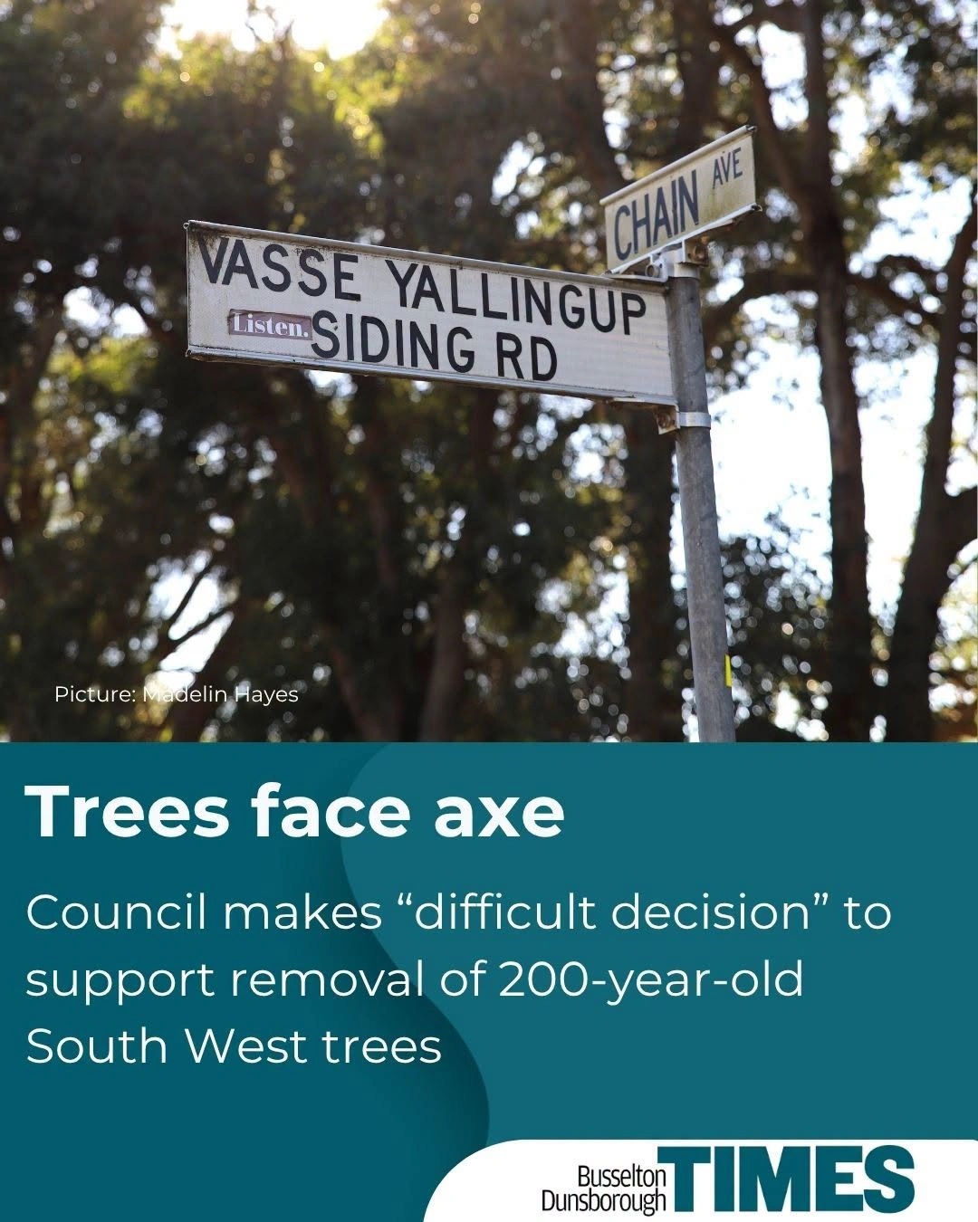 Times Trees Facing Axe.jpg