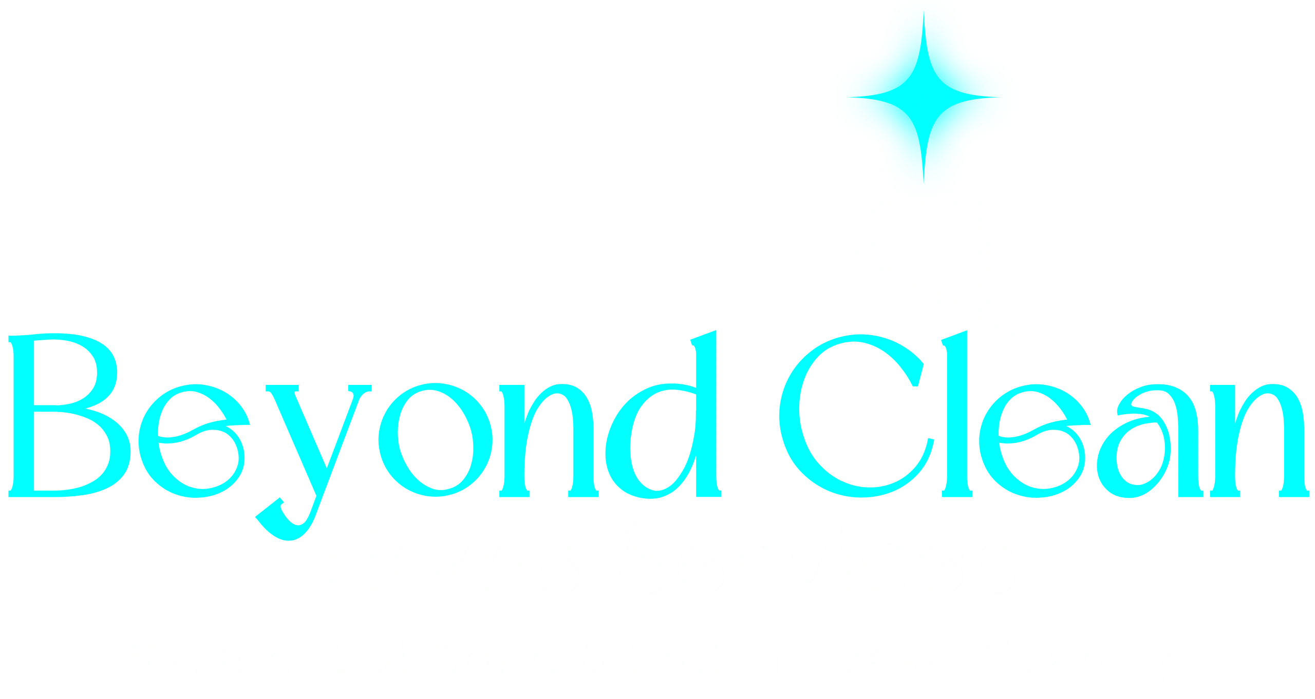 Beyond Clean Home Services